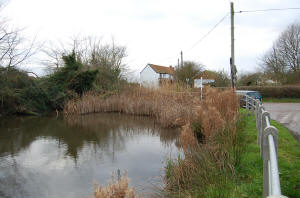 Edingthorpe Duck Pond