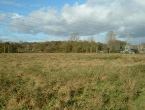 Site of Arminghall Woodhenge