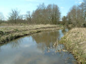River Bure at Itteringham