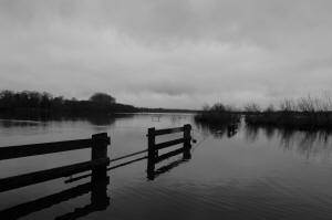 Ranworth Broad