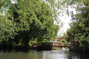 River Tas at Shotesham