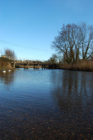 River Wensum at Ringland